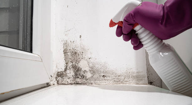  , USA Water damage restoration Pros